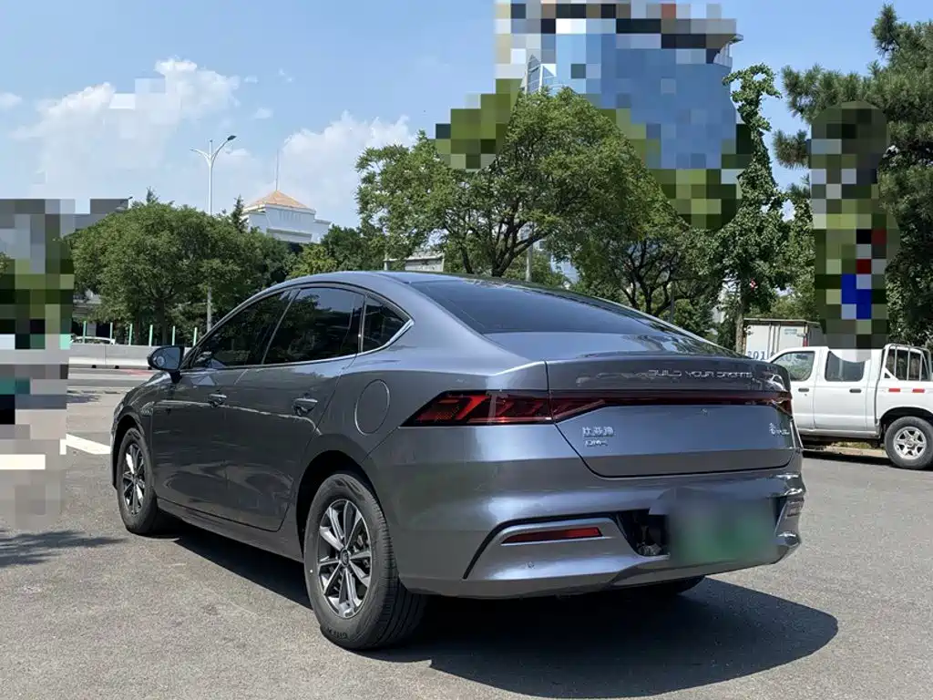 BYD Qin Plus PLUS 2024 DM-i 55KM Lead