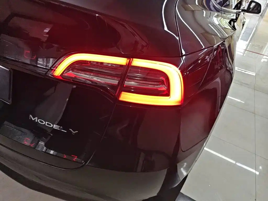 Tesla Model Y — миниатюра 8