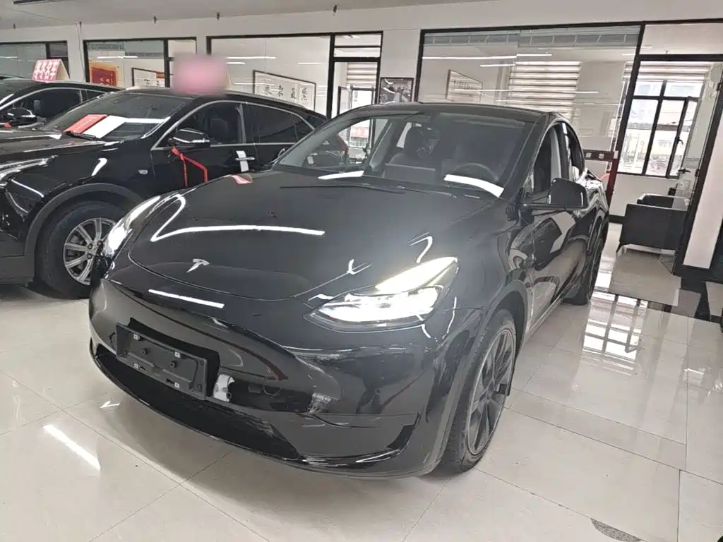 Tesla Model Y — миниатюра 2