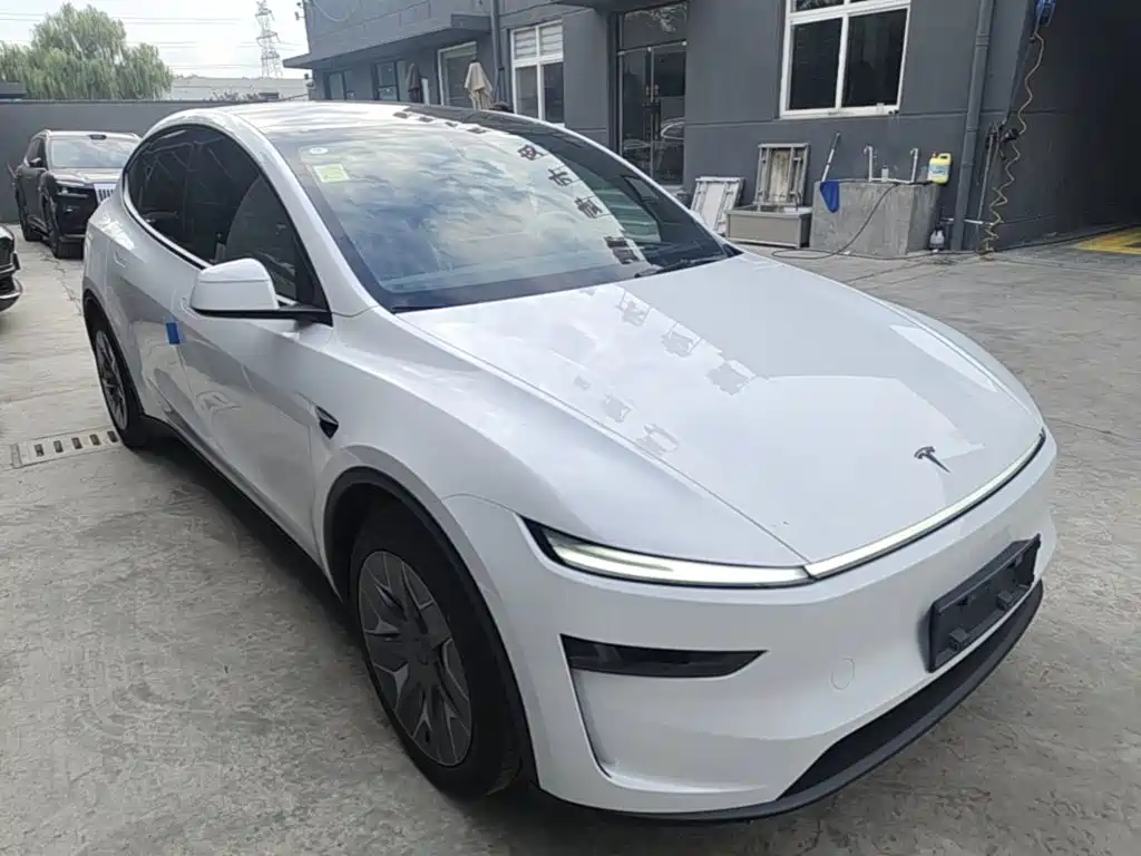 Tesla Model Y — миниатюра 4