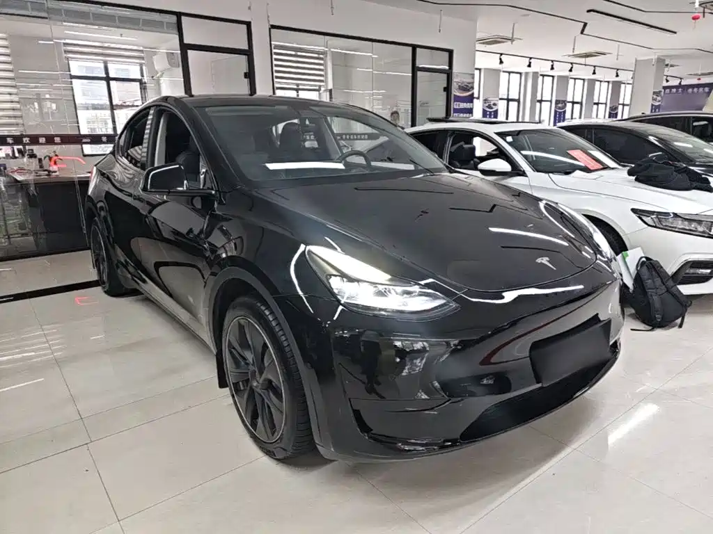 Tesla Model Y — миниатюра 4