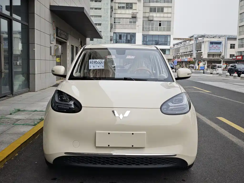 Wuling Binguo 2025 333km