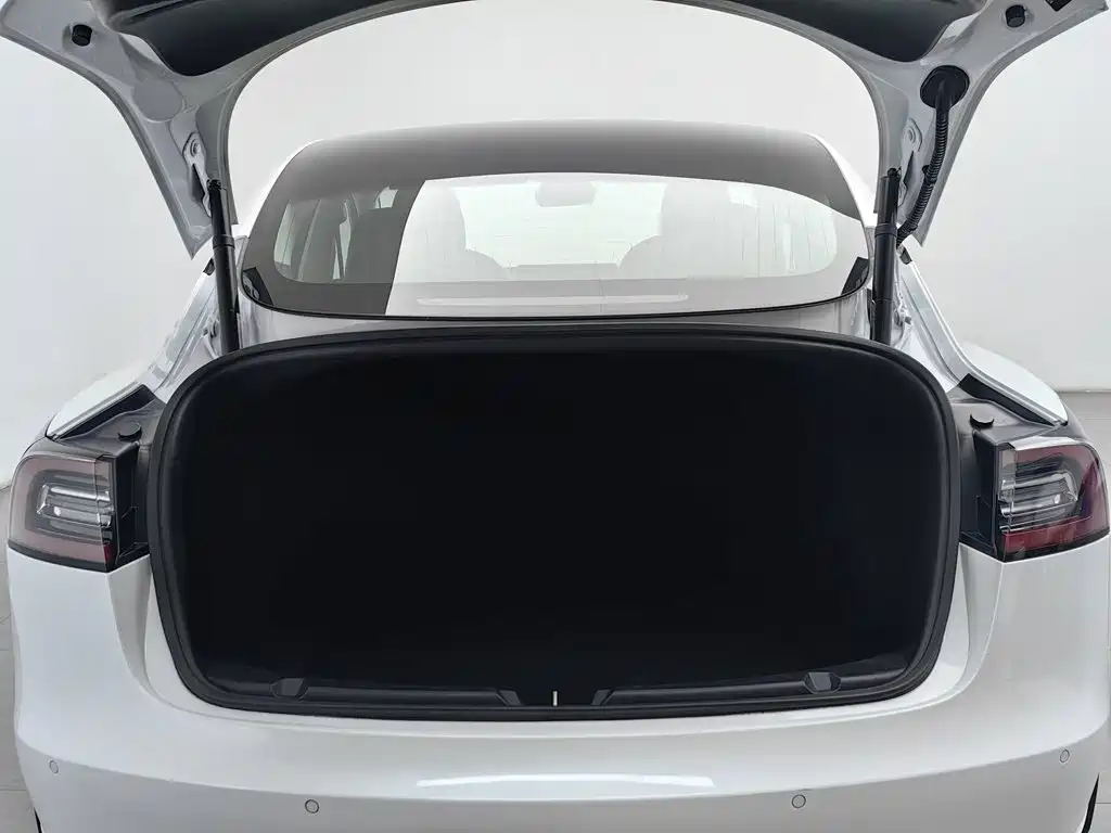 Tesla Model 3 — миниатюра 16
