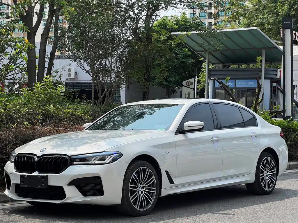 BMW 5 Series 2019