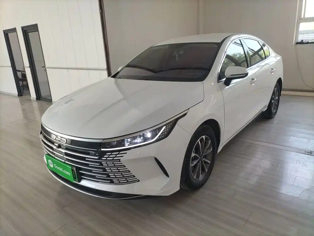 BYD Destroyer 05 2024 DM-i 55KM Luxury
