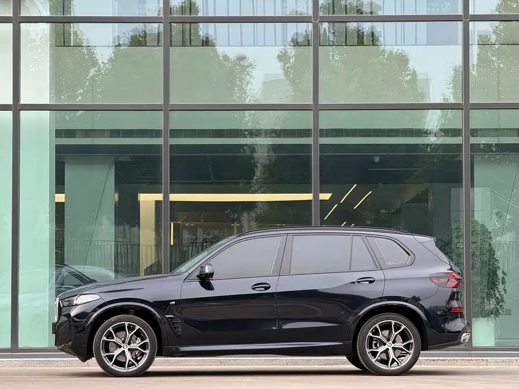 BMW X5 — миниатюра 2