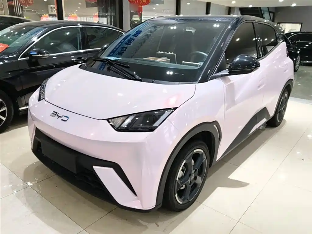 Byd Seagull 2024