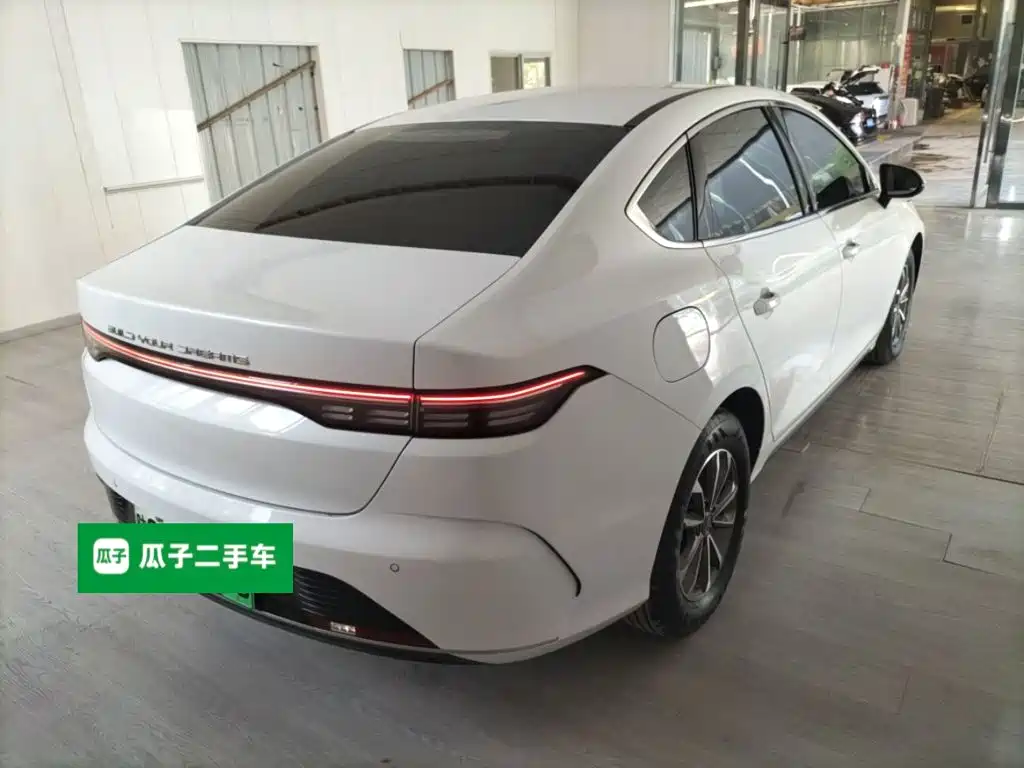 BYD Destroyer 05 2024 DM-i 55KM Luxury