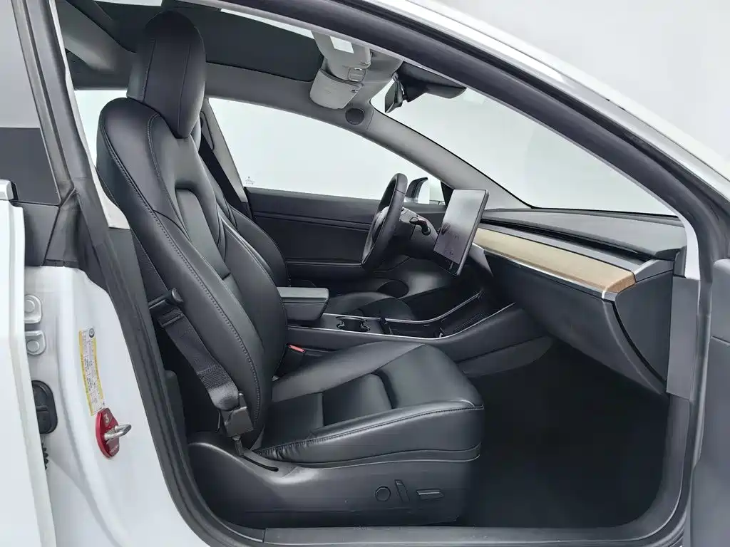 Tesla Model 3 — миниатюра 23