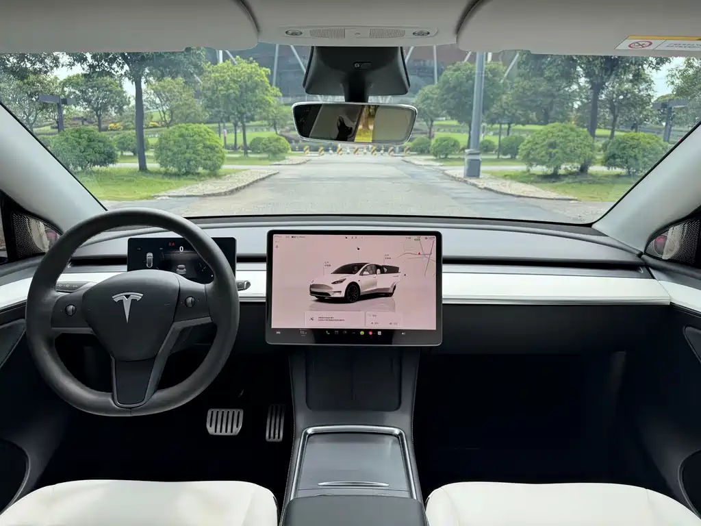 Tesla Model Y — миниатюра 20