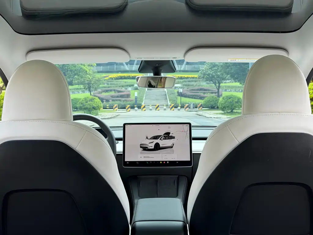Tesla Model Y — миниатюра 10