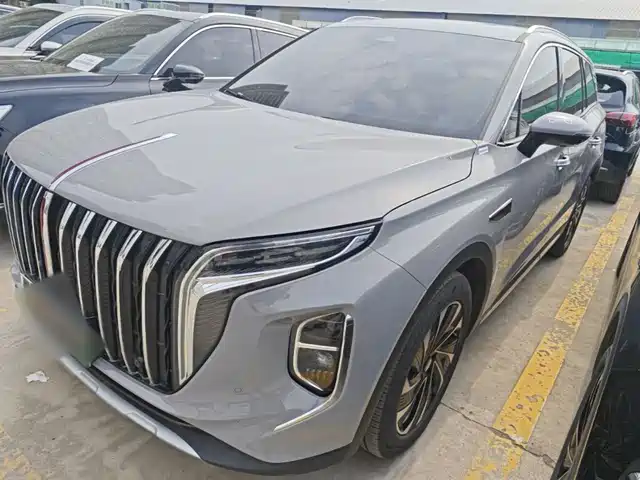 2024 Hongqi HS7