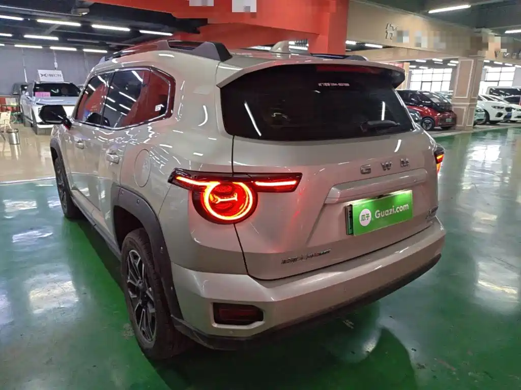 Haval Big Dog PLUS New Energy — миниатюра 5