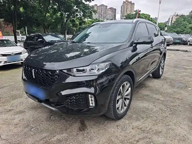 2019 Wey VV6