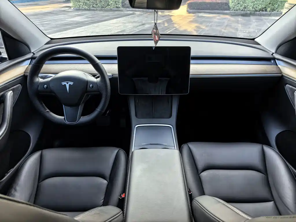 Tesla Model Y — миниатюра 10