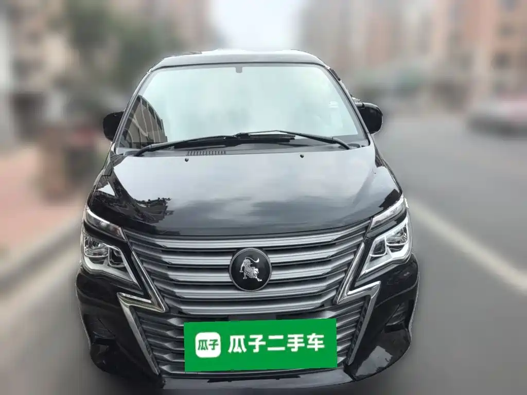 Fengxing Lingzhi — миниатюра 2