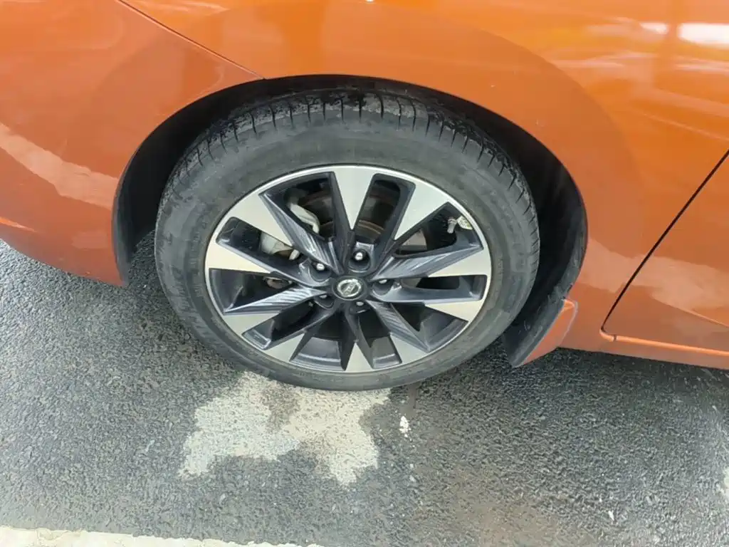 Nissan Bluebird — миниатюра 23