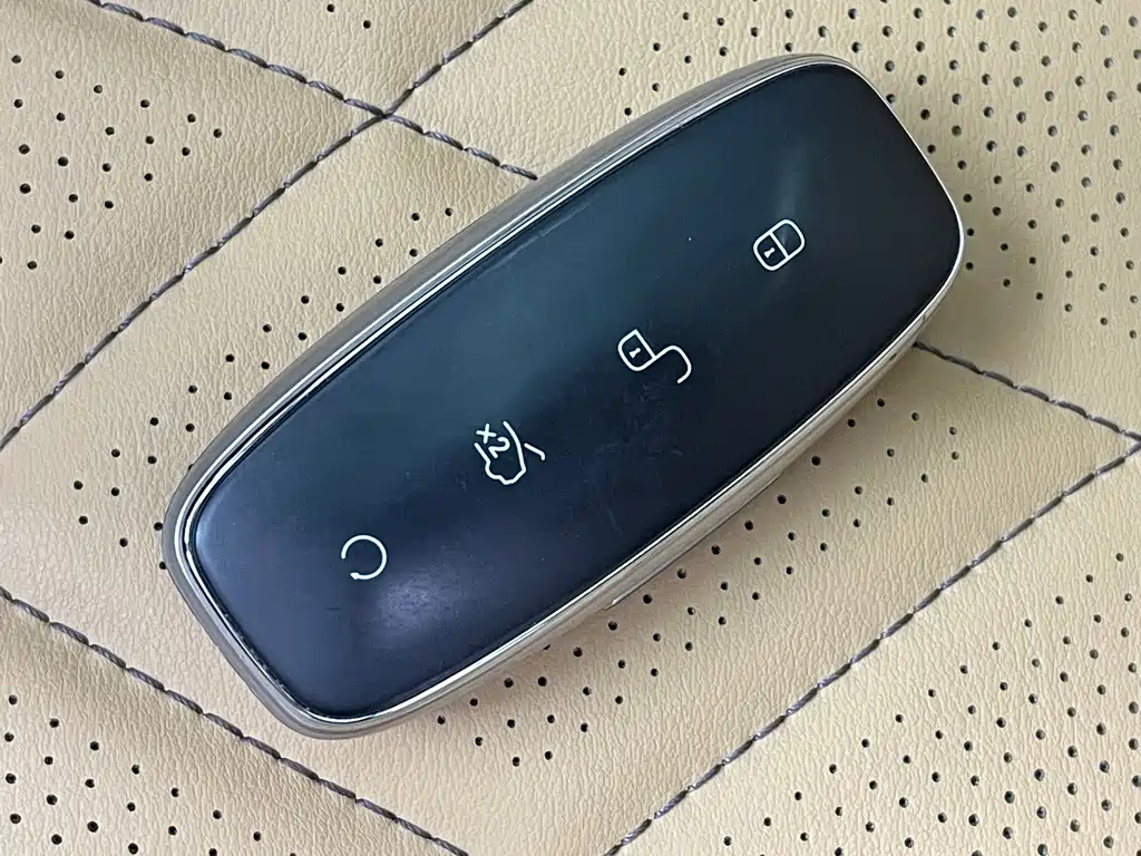 Denza Denza D9 — миниатюра 15