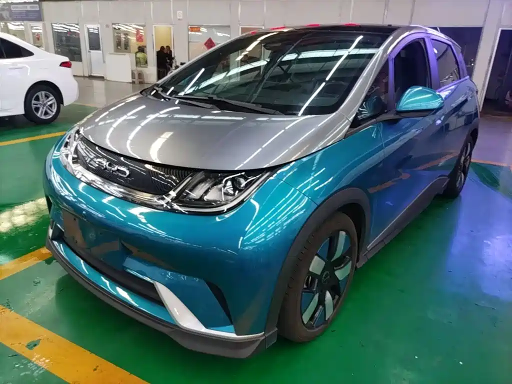 Byd Dolphin 2021