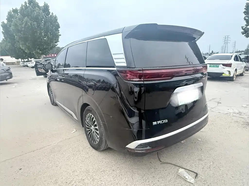 Denza Denza D9 — миниатюра 9