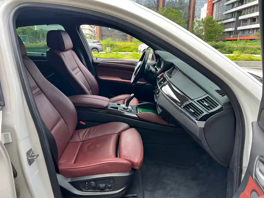 BMW X6 — миниатюра 8