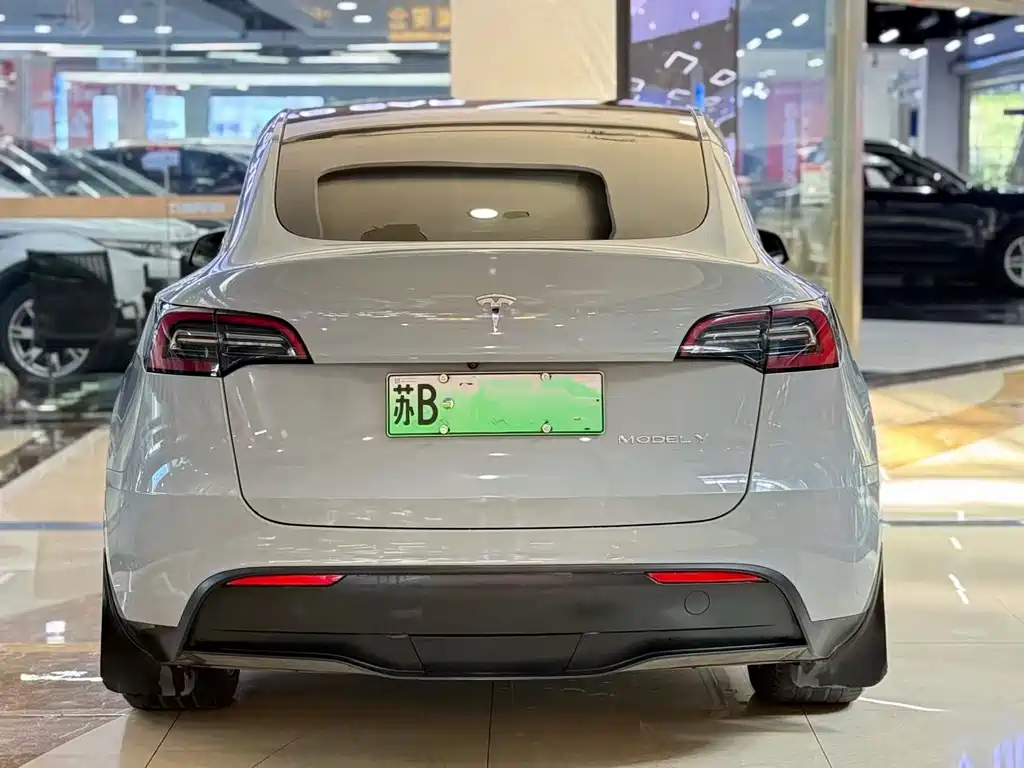 Tesla Model Y — миниатюра 5