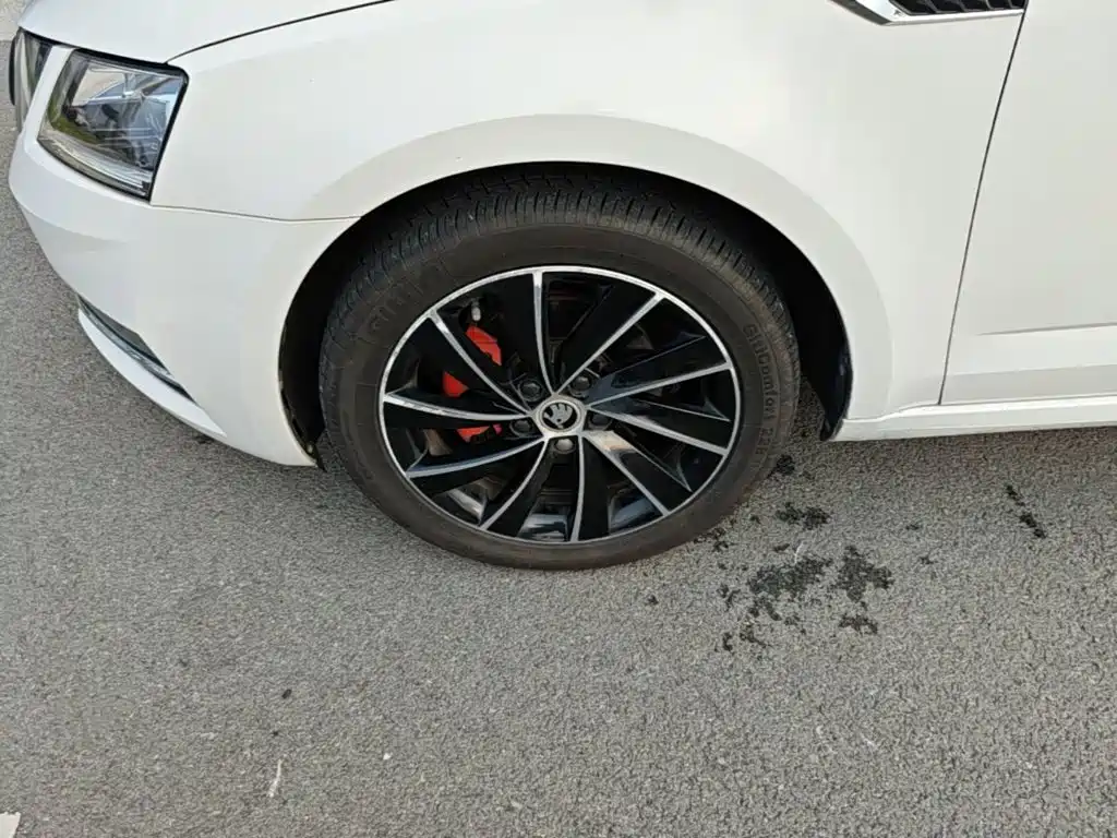 Skoda Octavia — миниатюра 23