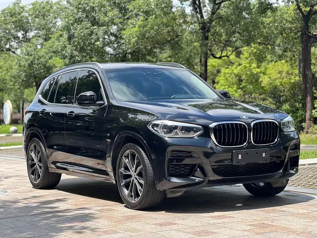 BMW X3 — миниатюра 5