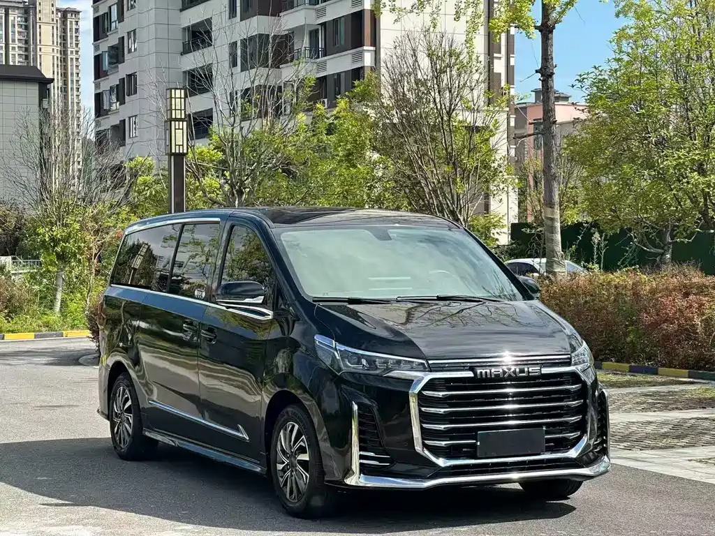 MAXUS G20 — миниатюра 3