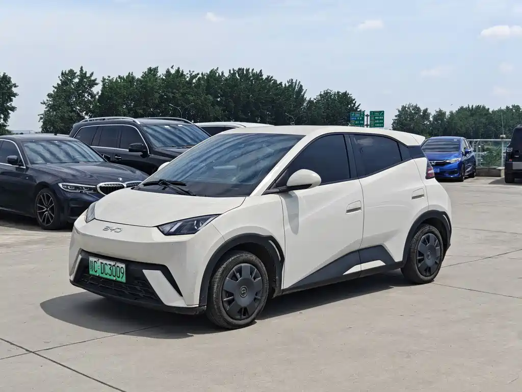 Byd Seagull 2024