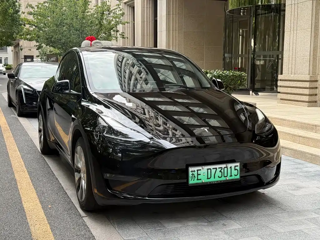 Tesla Model Y — миниатюра 3