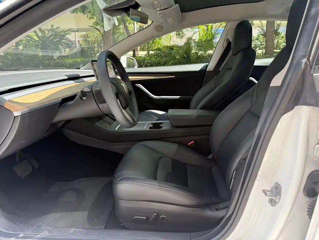 Tesla Model 3 — миниатюра 14