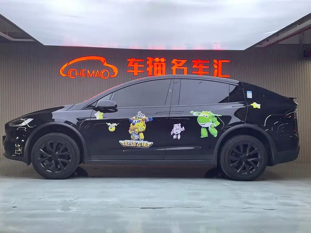 Tesla Model X — миниатюра 11