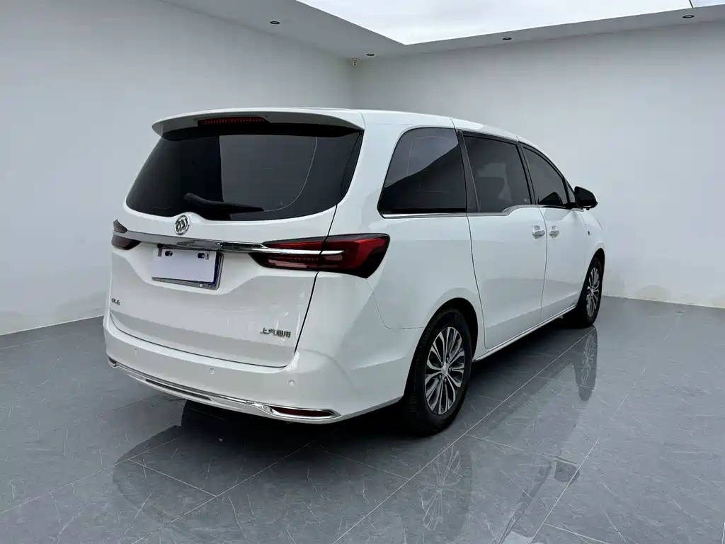 Buick GL8 — миниатюра 20