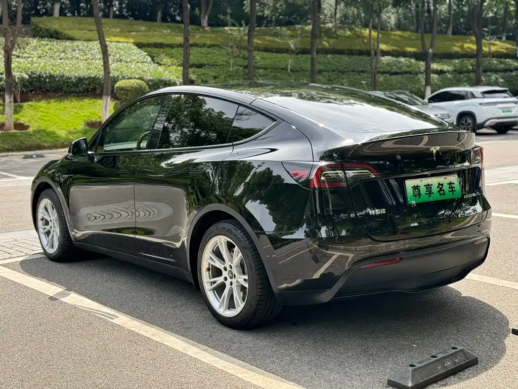 Tesla Model Y — миниатюра 5