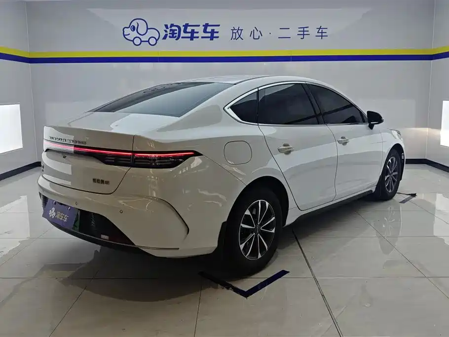 BYD Destroyer 05 2024 DM-i 55KM Luxury
