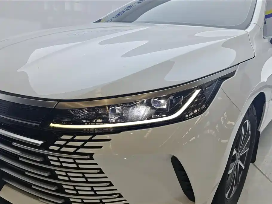 BYD Destroyer 05 2024 DM-i 55KM Luxury
