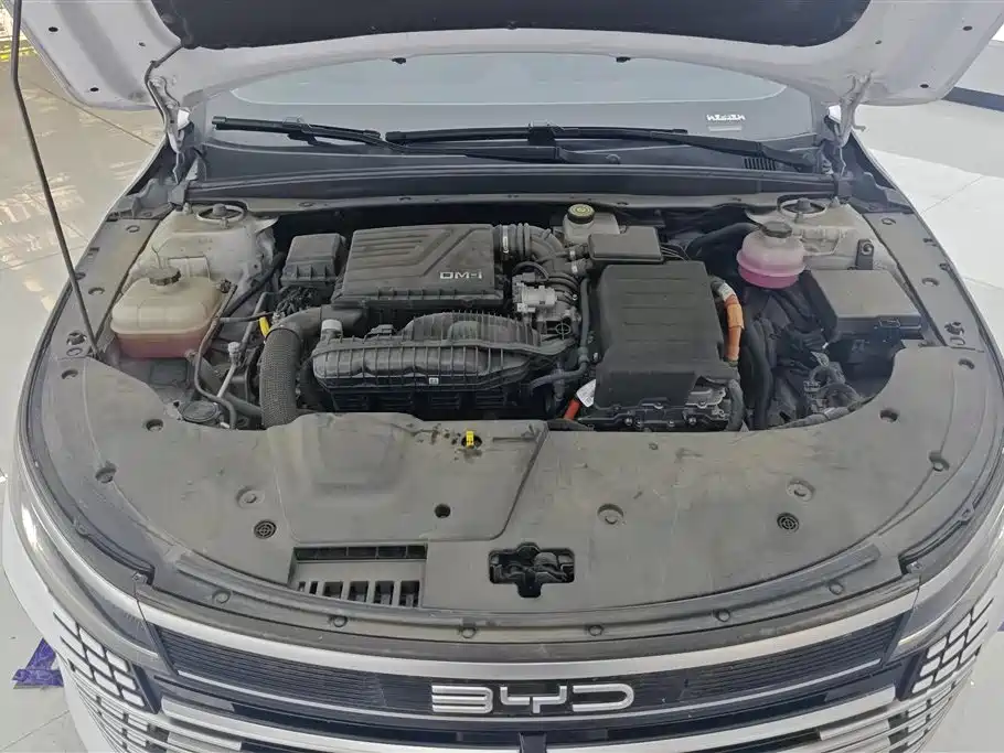 BYD Destroyer 05 2024 DM-i 55KM Luxury