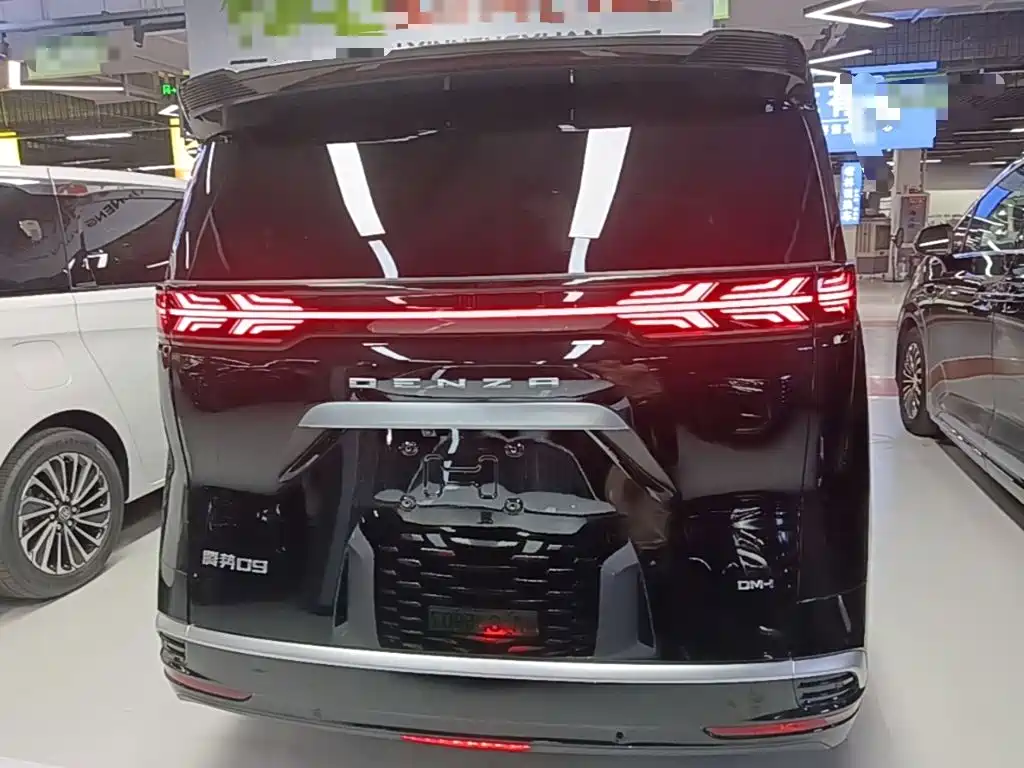 Denza Denza D9 — миниатюра 6