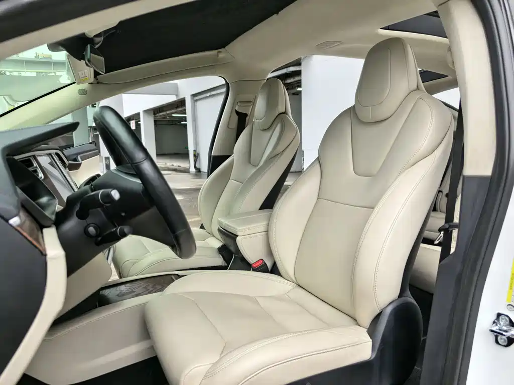 Tesla Model X 2017 Model X 100D