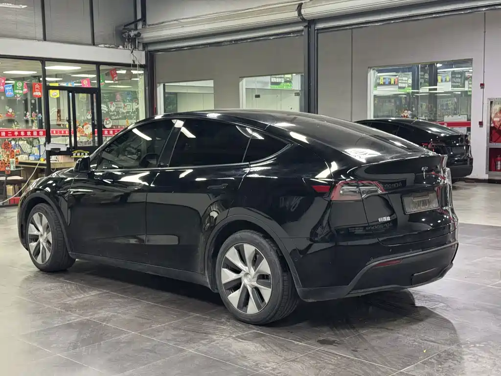 Tesla Model Y — миниатюра 19