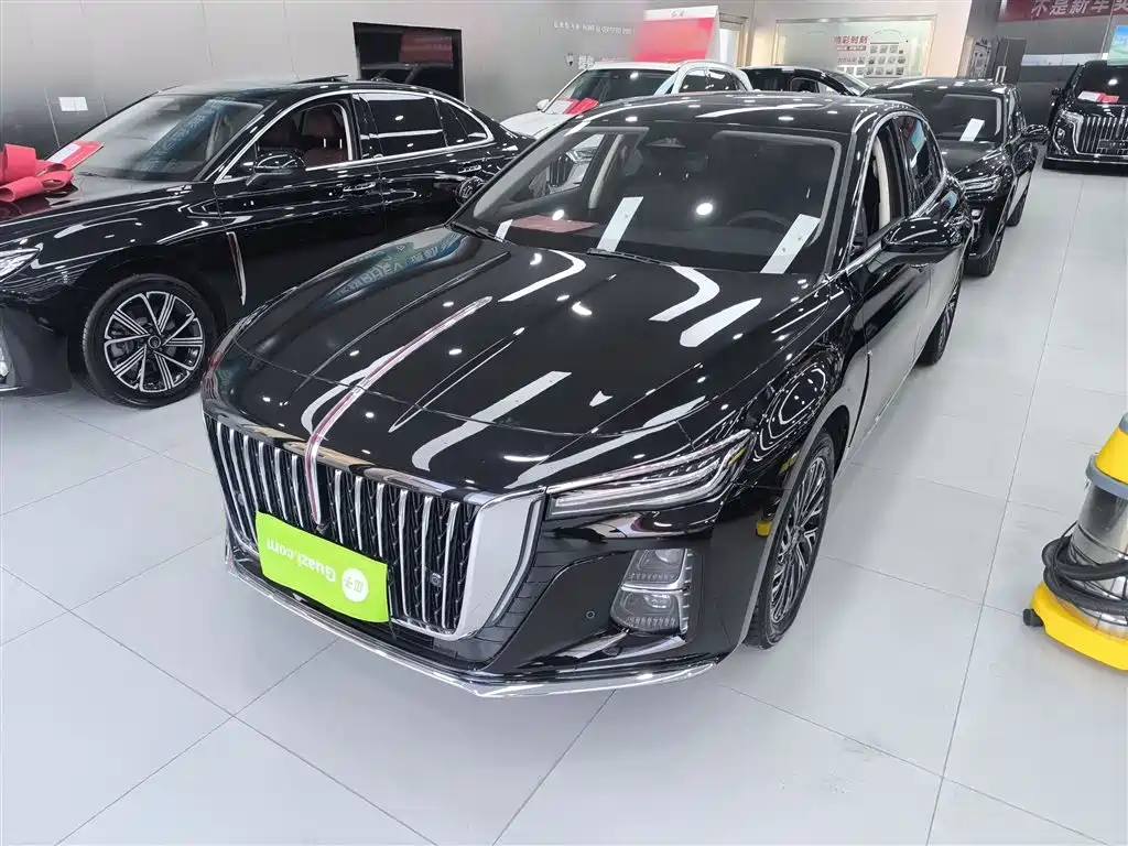 Hongqi Hongqi H5 2024