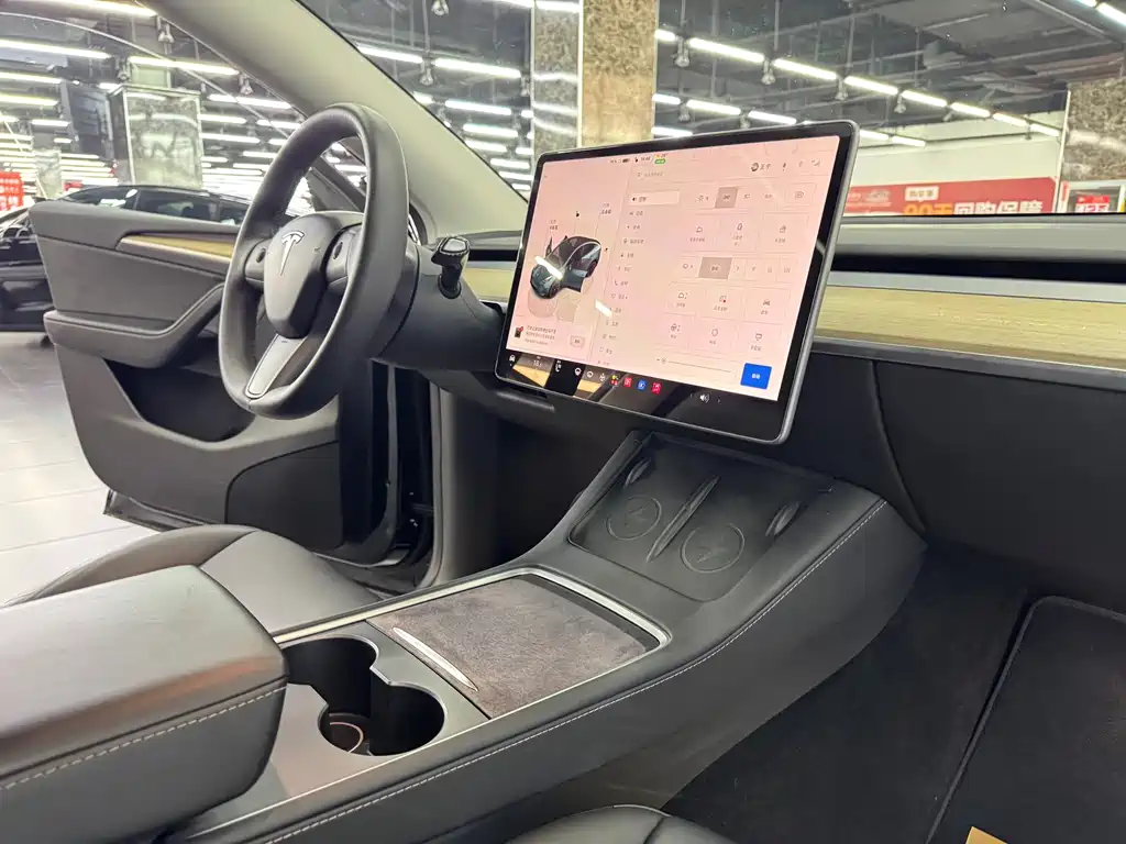 Tesla Model Y — миниатюра 10