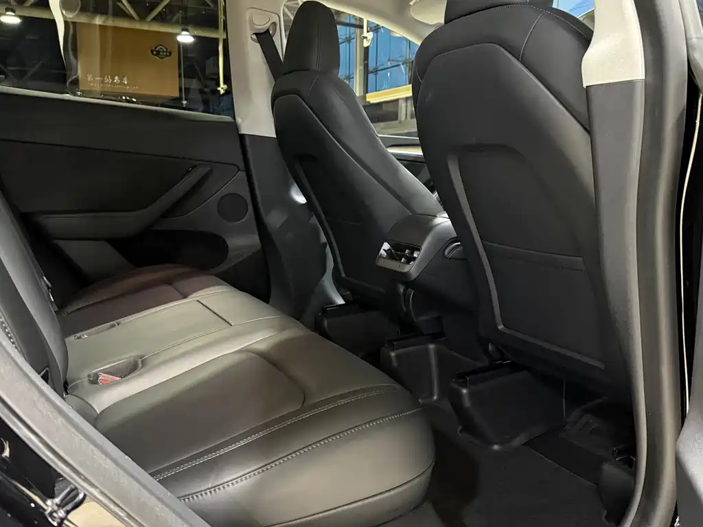 Tesla Model Y — миниатюра 10