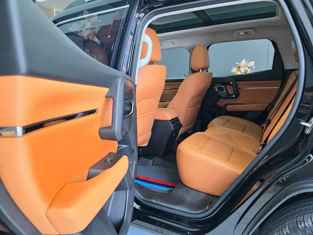 Haval Big Dog PLUS — миниатюра 8