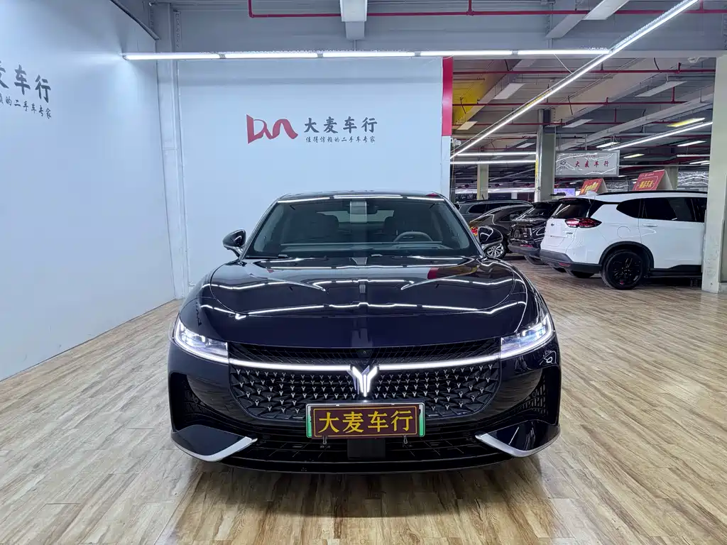 Voyah Passion 2024 PHEV Flagship