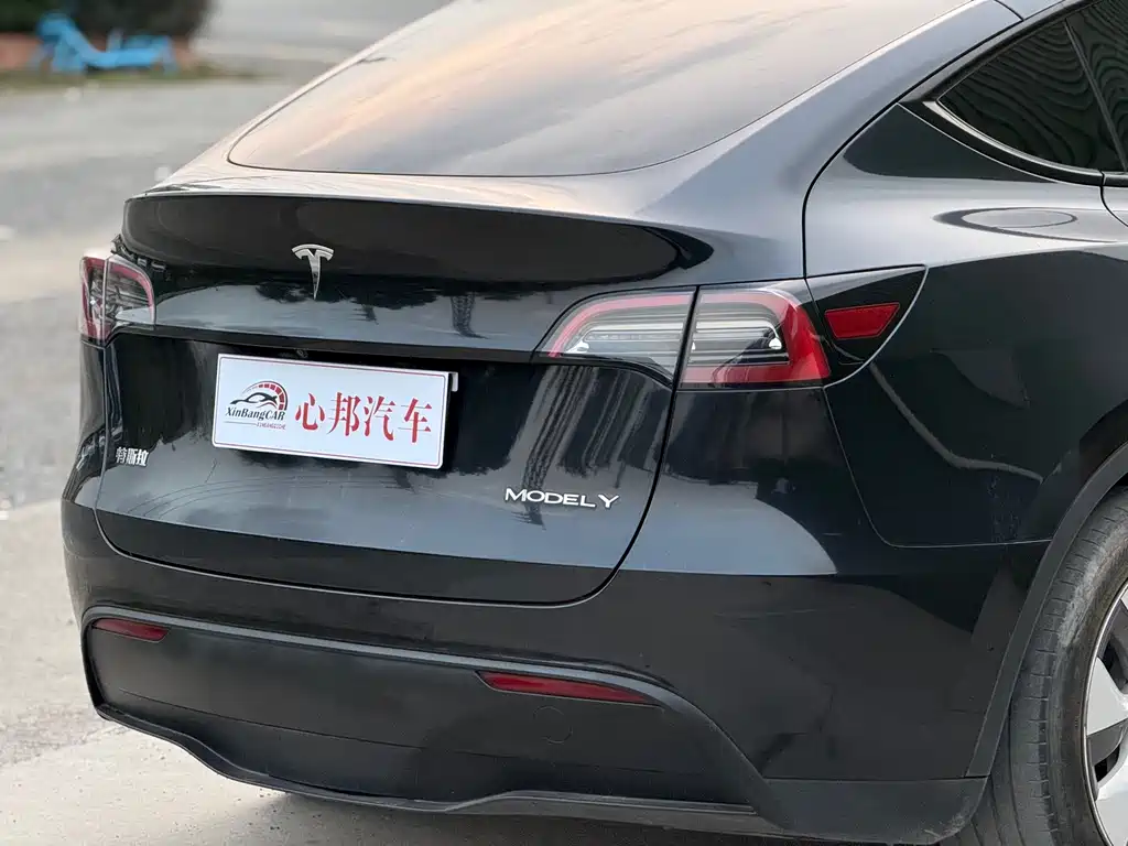 Tesla Model Y — миниатюра 14