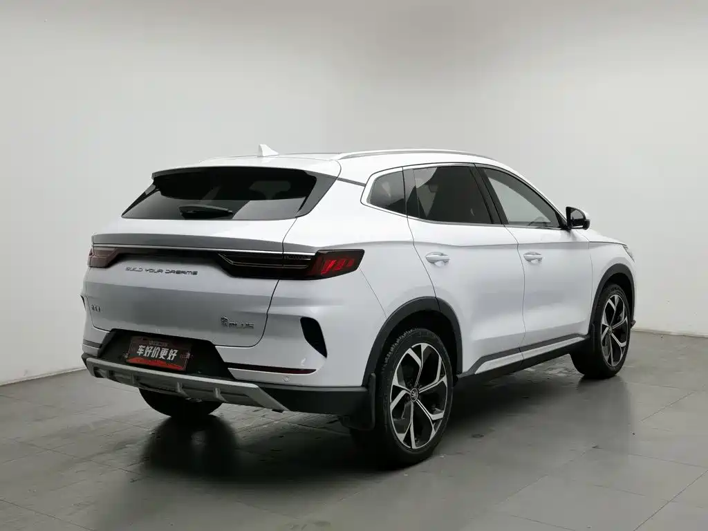 BYD PLUS — миниатюра 2