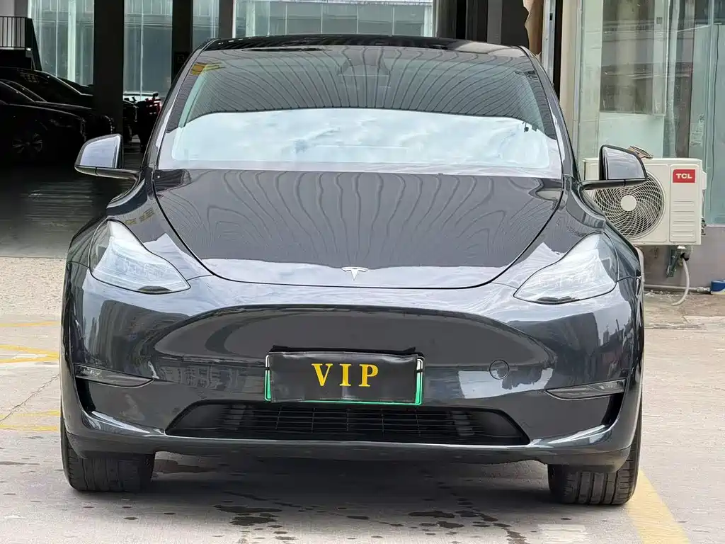 Tesla Model Y — миниатюра 2