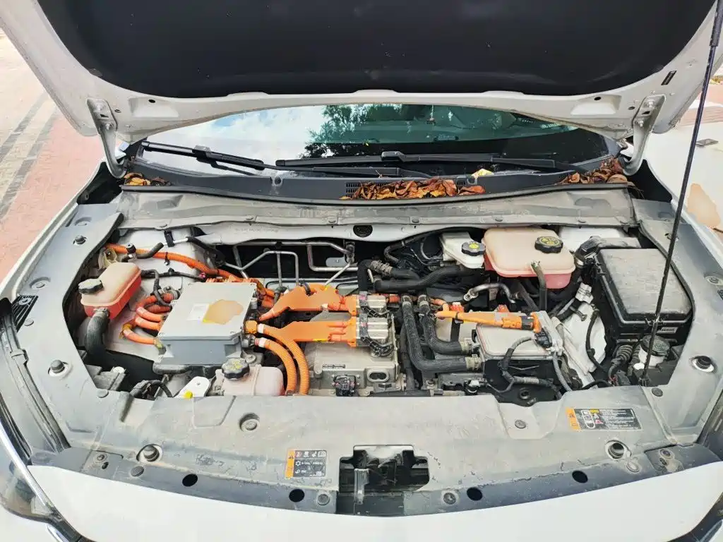 Chevrolet Menlo — миниатюра 11
